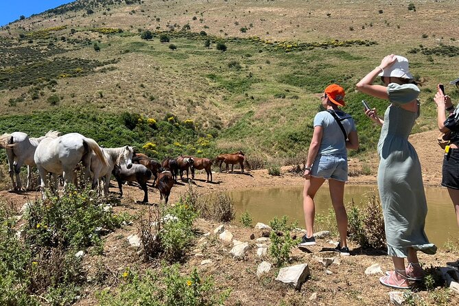 1-Day Tour in Blue Eye, Monastery, Gjirokaster and Lekursi Castle - Practical Tips for a Better Day