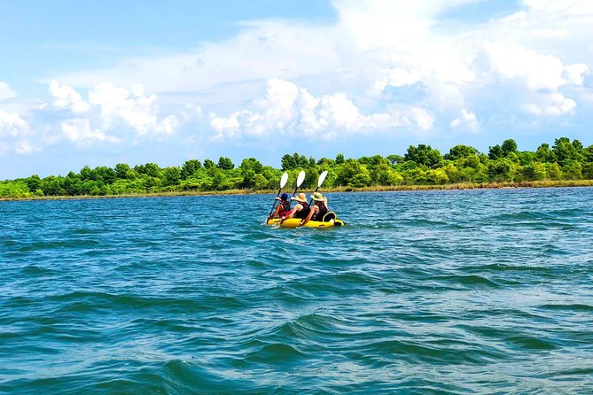 Albania Birdwatching, Kayaking, Bicycle National Park Divjaka Karavasta(ARG) - Key points to know before you go
