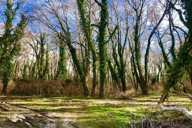 Albania Birdwatching, Kayaking, Bicycle National Park Divjaka Karavasta(ARG) - Who will enjoy this outing most