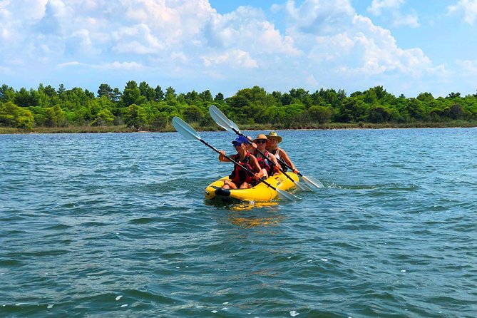 Albania Birdwatching, Kayaking, Bicycle National Park Divjaka Karavasta(ARG) - Birdwatching in Karavasta Lagoon