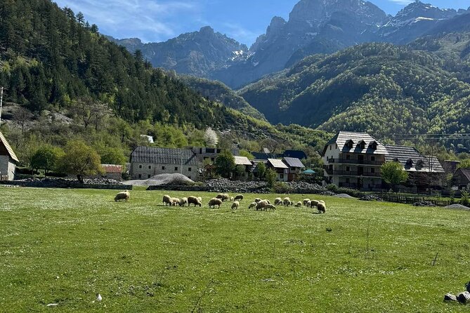 Albanian Alps and Theth Village Day Tour from Tirana - The Blue Eye hike is the physical test