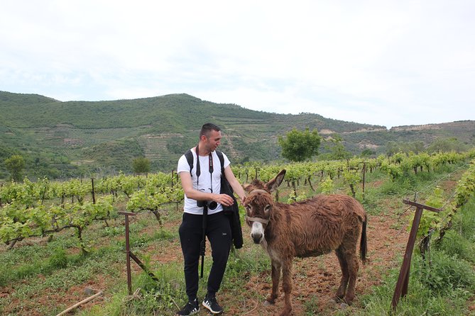 Albanian Highlights - UNESCO sites ,Nature and Food tour - Six details that shape the experience