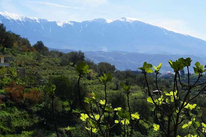 Ancients and Ottomans - Apollonia and Berat - What the guides add to the day