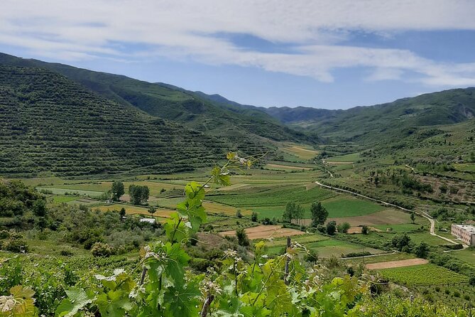 Berat 4x4 Off-Road and Vineyard Wine Tasting - Key points to know before you book