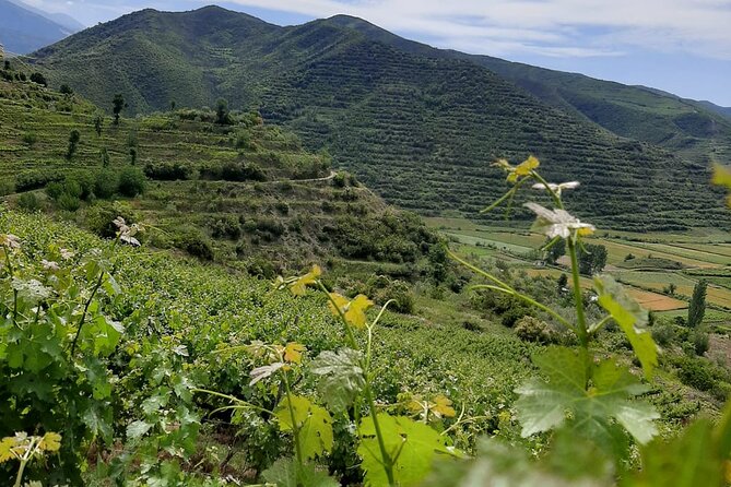 Berat 4x4 Off-Road and Vineyard Wine Tasting - Who will enjoy this most?