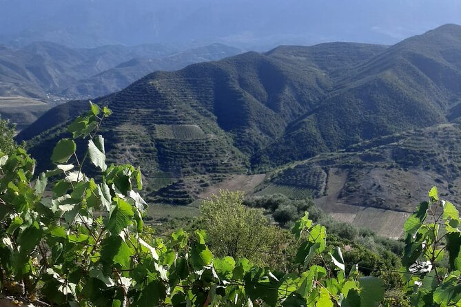 Berat 4x4 Off-Road and Vineyard Wine Tasting - Malinat, Albania’s village of vineyards