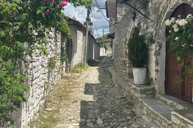 Berat city UNESCO tour, the Castle & Belshi lake- From Tirana - Free time lets you choose your own Berat