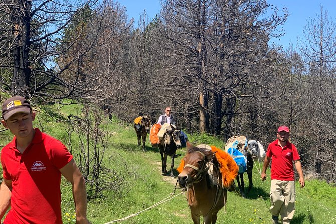 Berat Hiking Off Road picnic lunch in Tomori Holy Mount - Meeting the shepherds and mules