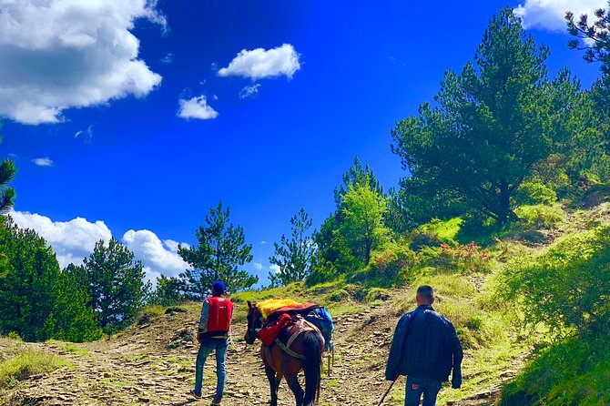 Berat Hiking Off Road picnic lunch in Tomori Holy Mount - What the $102.12 price covers