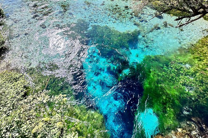 Blue Eye And Lekuresi Castle, 4 Hour Nature and Historical Tour - The Blue Eye: Albania’s Chilly Natural Wonder