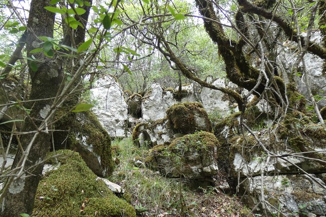 BOGOVA WATERFALL & WINERY TOUR from Berat by 1001 AA - Is $89.15 a fair price?