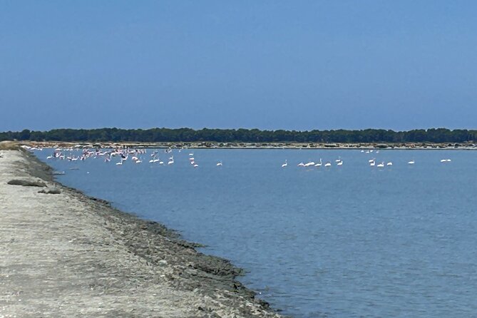 Day tour of Apollonia Park, Vlore and Narta from Tirana&Durres - Who should book this day tour?