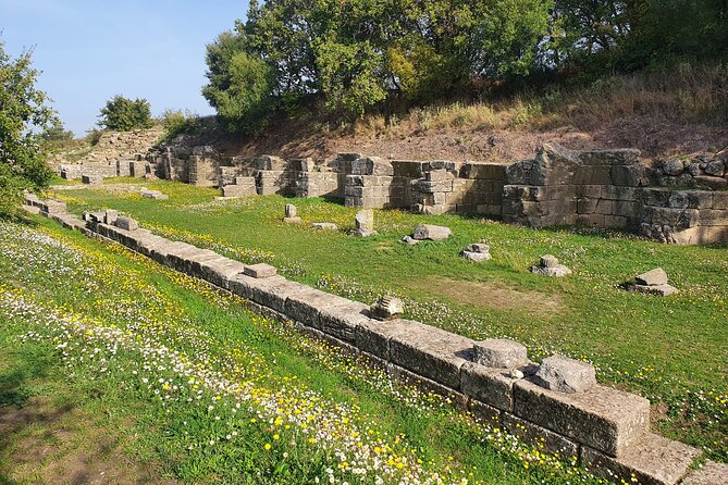 Day tour of Apollonia Park, Vlore and Narta from Tirana&Durres - Narta Lagoon and the salt marshes