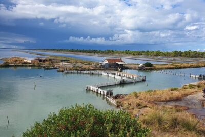 Day Tour of Berat and Karavasta Lagoon from Tirana&Durres