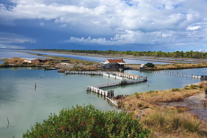 Day Tour of Berat and Karavasta Lagoon from Tirana&Durres - Two Hours at Karavasta Lagoon