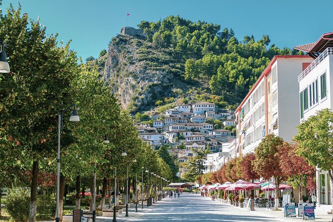 Day tour of Berat UNESCO city , castle and Belshi Lake - Entering Berat Castle, the city above the city