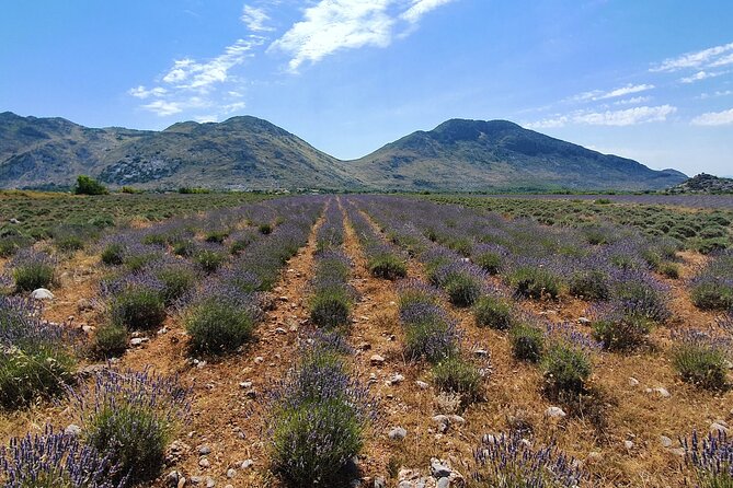 Day tour of Theth from Tirana - Who will enjoy this day most