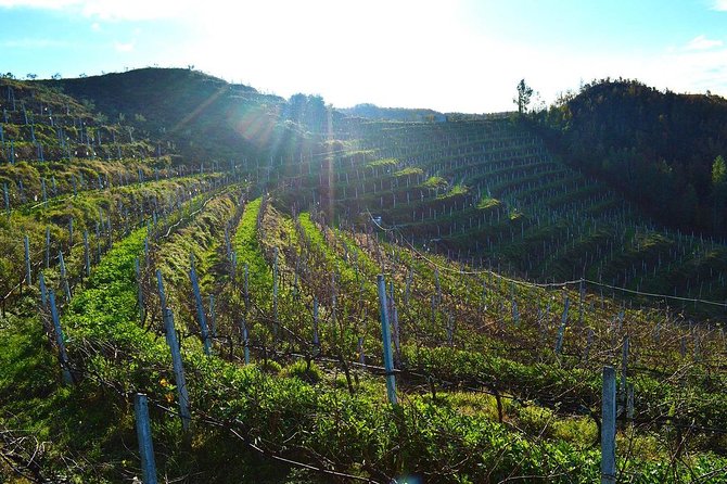Durres & Wine Tasting Tour - Walking Durres’s Roman and Byzantine remains