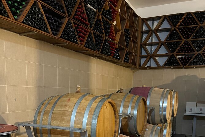 Durres & Wine Tasting Tour - What you actually taste at the winery