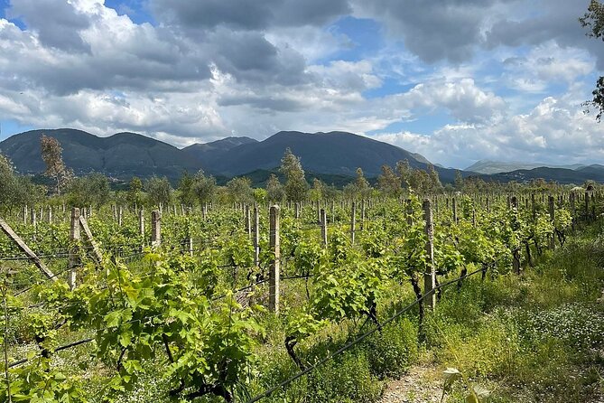 Experience Blue Eye , Lekuresi Castle and Taste Traditional Albanian Wine - Private car, shared van, and the transport question