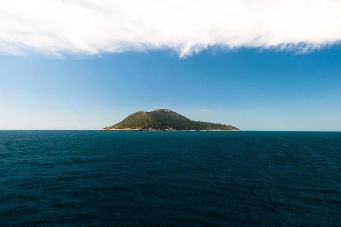 Explore Vlora Bay: Sazani Island &Karaburun peninsula from Tirana - Who will enjoy this boat day most