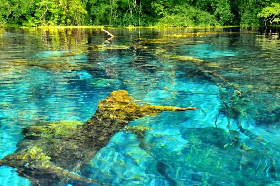 From Durres : Blue Eye, Ksamil Islands, and Saranda Day Tour - Is $81 a fair price?