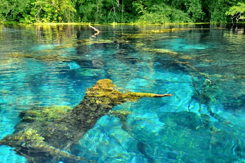 From Durres: Saranda, Blue Eye, Ksamil Islands Boat Tour - Who will enjoy this day trip most