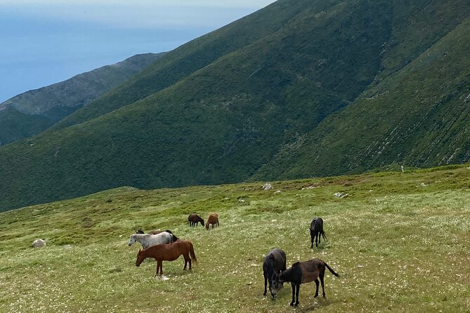Full Day Tour from Albanian Riviera/Borsh to Dhermi and Llogara - Dhermi pairs a mountain village with a seaside promenade