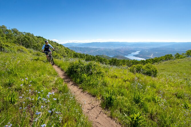 Full Day Tour in Berat Using Electric Bike - Who Should Book This Berat Bike Tour?