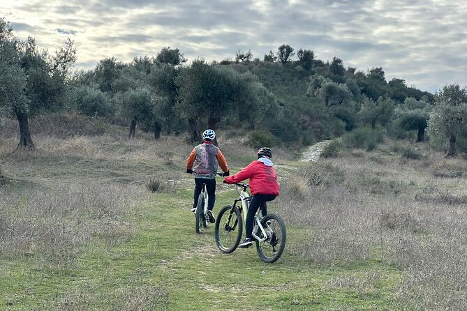Full Day Tour in Berat Using Electric Bike - The Climb to Maja e Çukës së Partizanit
