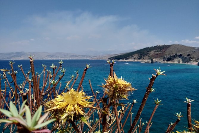 Half-day Tour in South Albania (Blue Eye, Lekursi Castle, Ksamil) - Who will enjoy this tour most