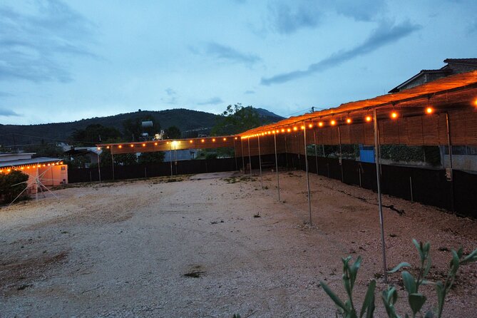 Happy Camping Berat - Food, drinks, and the small bar