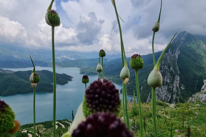 Hiking to Gamti, Bovilla Lake and Kruja Day Trip from Tirana - Who will enjoy this day trip?
