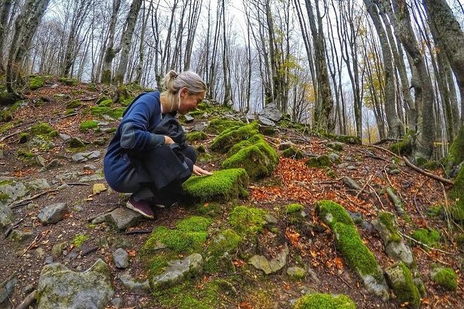 Hiking Tour of Valbona, Theth & Blue Eye in 3 Days from Tirana - Day one: Tirana to Koman Lake and Valbona