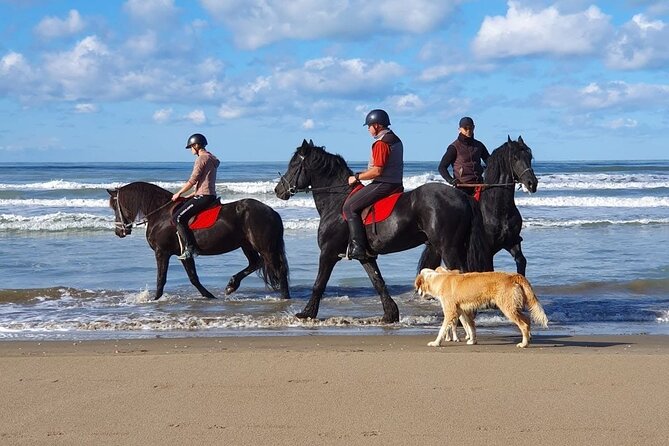 Horseback Riding Adventure in Durrës for Experienced Riders - A ride for confident hands, not first-time riders