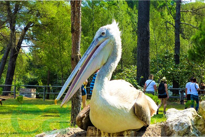 Karavasta Lagoon Adventure: Boat & Wildlife Tour from Durrës - Climbing Kulla 360 for the broadest view