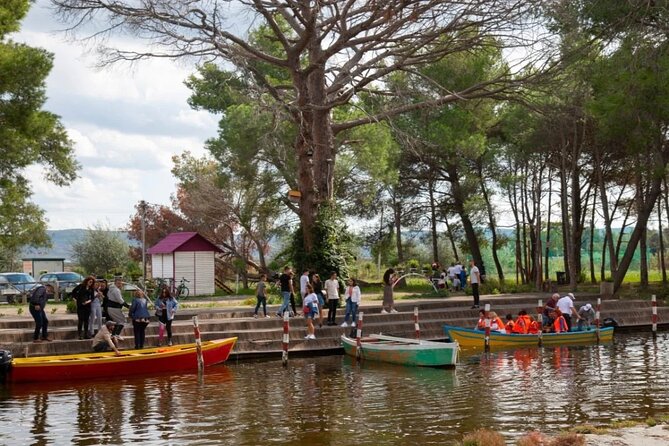 Karavasta Lagoon Adventure: Boat & Wildlife Tour from Durrës - Walking the pine forest and wooden bridge