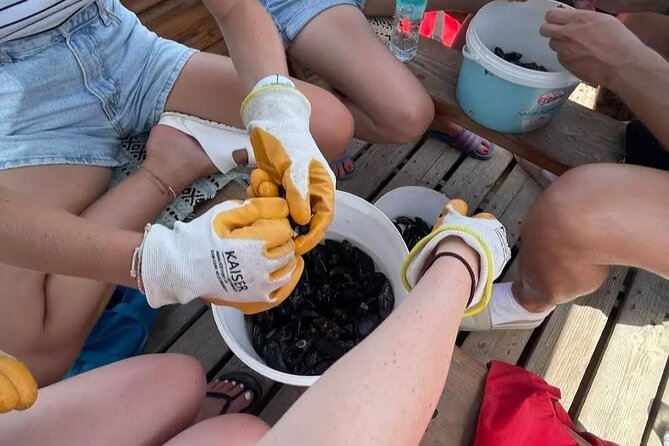 Ksamil: Mussel Sailing Tour with Food and Drink in Albania - Who will enjoy this outing most