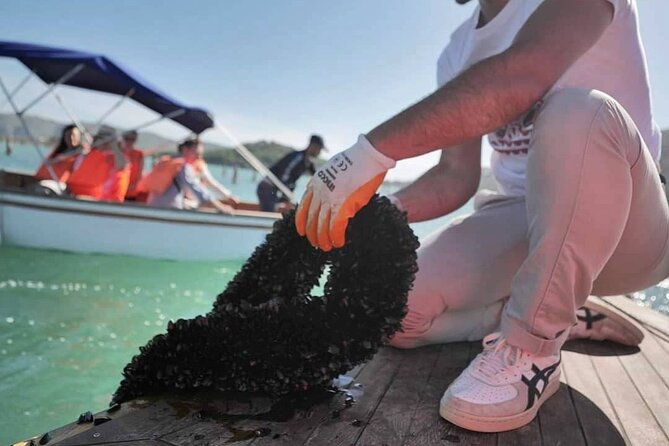 Ksamil: Mussel Sailing Tour with Food and Drink in Albania - Timing, weather, and small practical tips