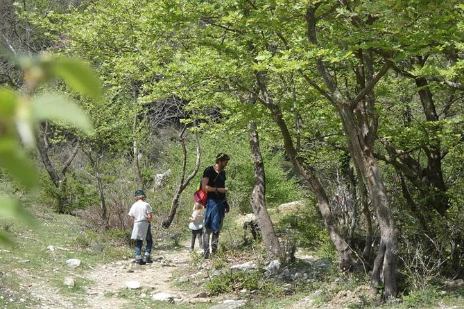 Osumi Canyons and Bogova Waterfall from Berat - Tour by 1001 Albanian Adventures - Walking inside the canyon