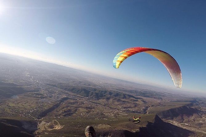 Paragliding Tandem Experience From Dajti Mountain - Landing in a field and returning by taxi