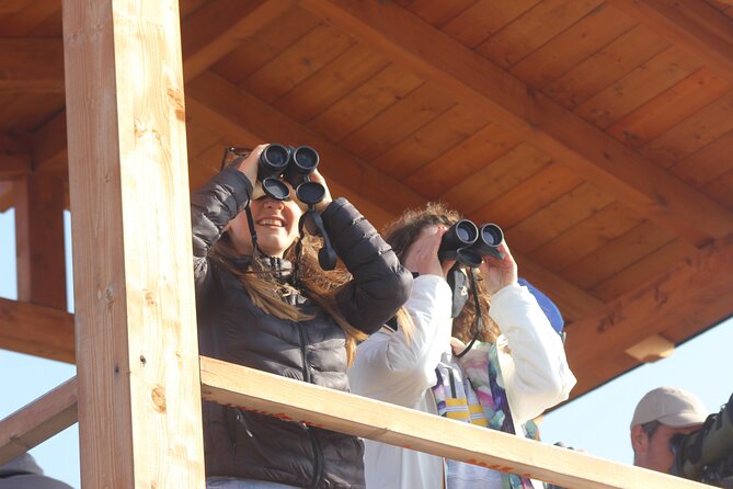 Private Birding Tour in Albania - Starting at Rinas Airport near Tirana