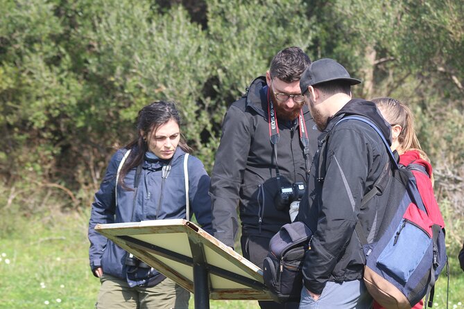 Private Birding Tour in Albania - The Vjosa River, salt marshes, and roller country