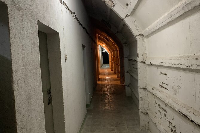 Private Cold War City Tour in Gjirokaster - Musine Kokalari and the cost of dissent