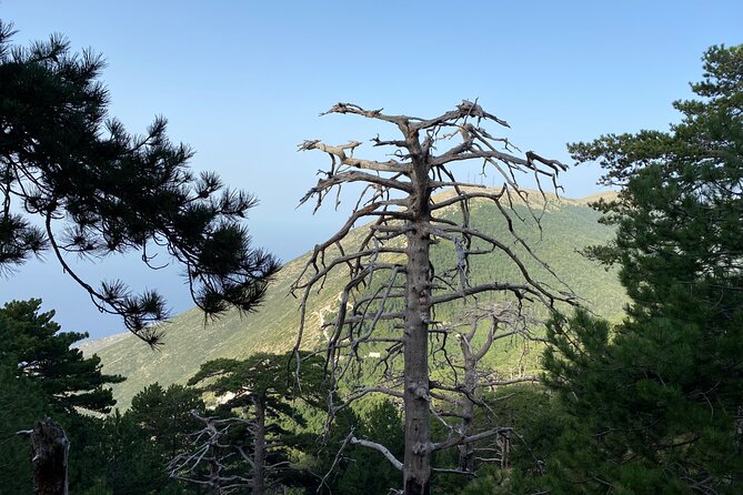 Private Hiking Tour in Çika Mountain - Guide support and the private-group advantage