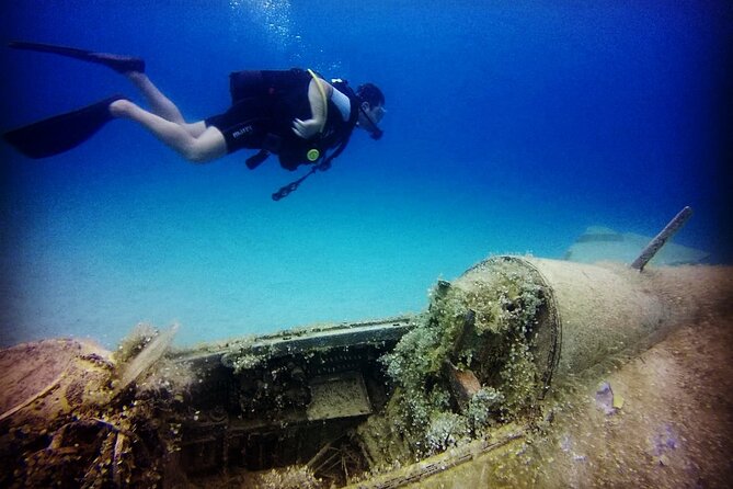 Scuba Diving in MIG-21 wreck - Marine life around the aircraft