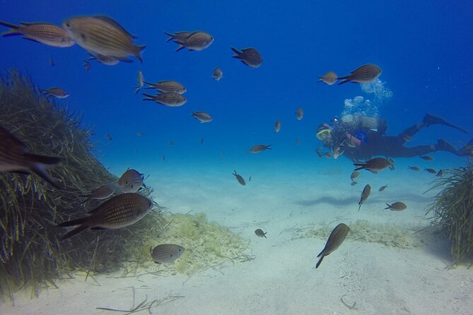 Scuba Diving in MIG-21 wreck - What happens during the one-hour session