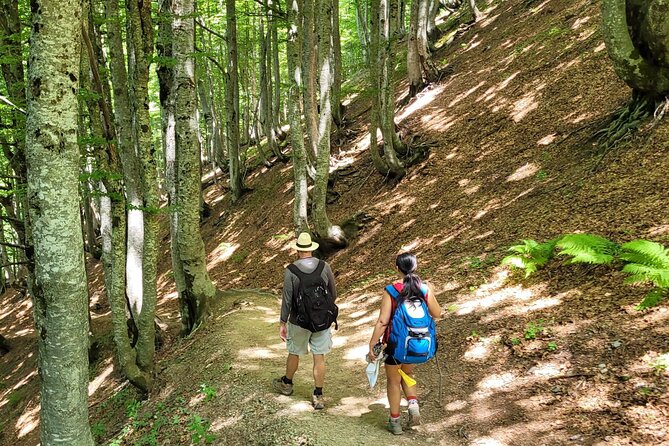 Self-Guided Hiking Tour: Theth, Valbona & Koman Lake in 3 Days - The 5:00 a.m. Start and the Road to Theth