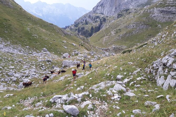 Self - Guided Peaks of the Balkans tour in 7 days - Day 4: Cerem, snowfields, and the optional Zla Kolate climb