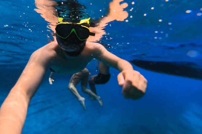 Snorkeling 360 Experience in Sazan Island & Karaburun - The eastern shore and Saint Nicholas Bay